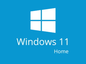 MICROSOFT Windows Home 11 KW9-00632