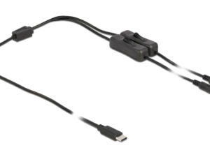 DELOCK καλώδιο USB Type-C σε 2x DC 5.5 x 2.1mm 86800