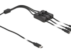 DELOCK καλώδιο USB Type-C σε 3x DC 5.5 x 2.1mm 86801
