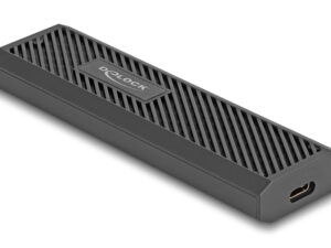 DELOCK θήκη για M.2 NVMe PCIe/SATA SSD 42031